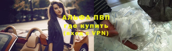 ГАЛЛЮЦИНОГЕННЫЕ ГРИБЫ Костерёво