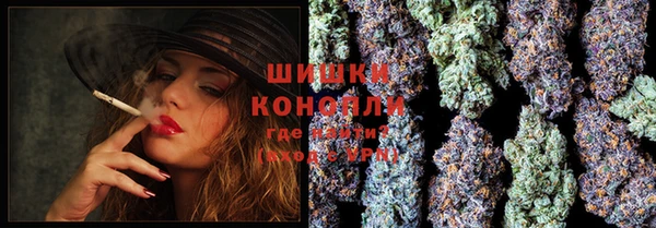 ГАЛЛЮЦИНОГЕННЫЕ ГРИБЫ Костерёво