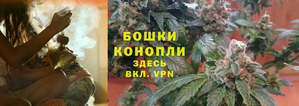 2c-b Корсаков