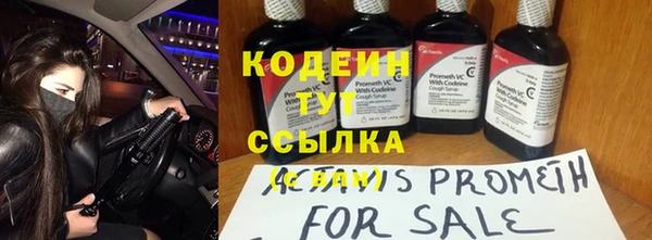 ГАЛЛЮЦИНОГЕННЫЕ ГРИБЫ Костерёво