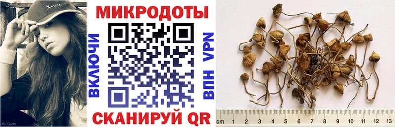 Купить  Чайковский  Псилоцибиновые грибы ЛСД 