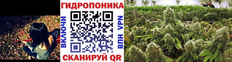 Купить закладки  Чайковский  МАРИХУАНА план 
